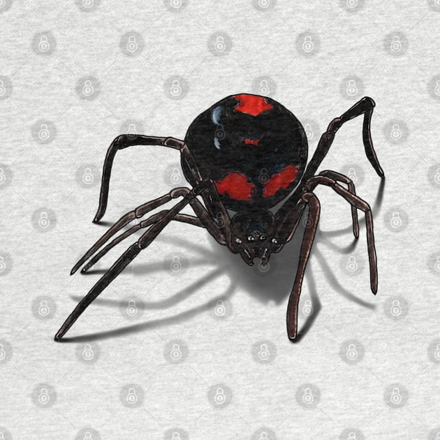 Black Widow Spider by Heather Dorsch Creations